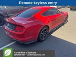 2019 Mustang Thumbnail 3
