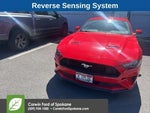 2019 Mustang Thumbnail 4