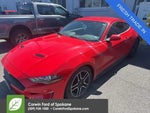 2019 Mustang Thumbnail 6