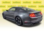2019 Mustang Thumbnail 11