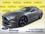 2019 Mustang Thumbnail 14