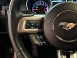 2019 Mustang Thumbnail 19