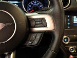 2019 Mustang Thumbnail 21