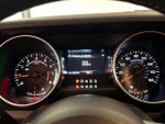 2019 Mustang Thumbnail 23