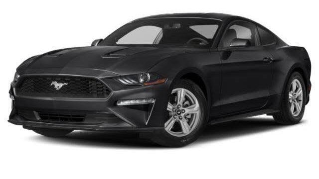 Preowned 2019 Ford Mustang EcoBoost for Sale