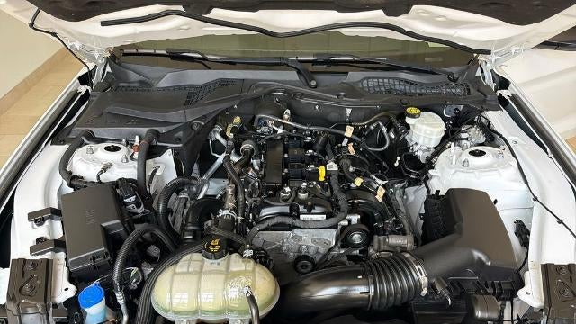 2021 Ford Mustang EcoBoost