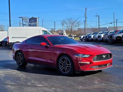2021 Ford Mustang Ecoboost 2DR Fastback