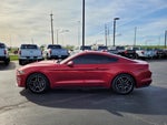 2021 Mustang Thumbnail 7