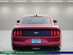 2021 Mustang Thumbnail 4