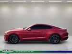 2021 Mustang Thumbnail 6