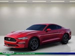 2021 Mustang Thumbnail 7