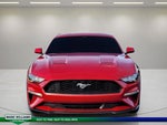 2021 Mustang Thumbnail 8
