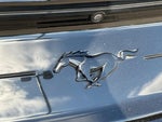 2021 Mustang Thumbnail 30