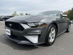 2023 Mustang Thumbnail 1