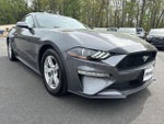 2023 Mustang Thumbnail 2