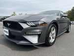 2023 Mustang Thumbnail 4