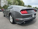 2023 Mustang Thumbnail 6