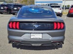 2023 Mustang Thumbnail 10