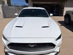 2023 Mustang Thumbnail 7