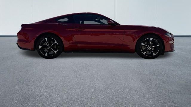 2023 Ford Mustang EcoBoost