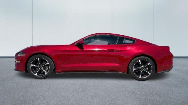 2023 Ford Mustang EcoBoost