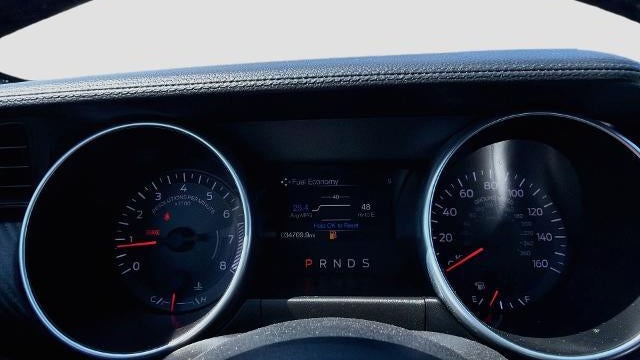2023 Ford Mustang EcoBoost