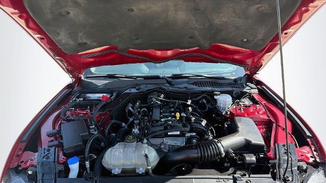 2023 Ford Mustang EcoBoost
