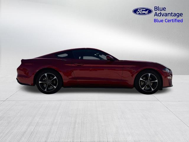 2023 Ford Mustang - $25,583