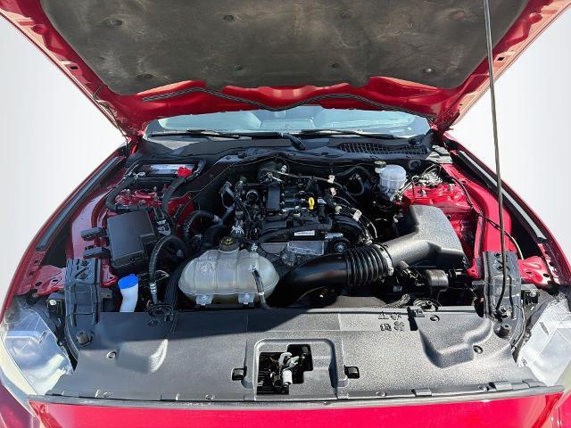 2023 Ford Mustang - $25,583