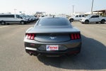 2024 Mustang Thumbnail 6