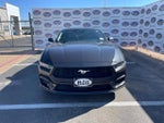 2024 Mustang Thumbnail 3