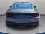 2024 Mustang Thumbnail 6