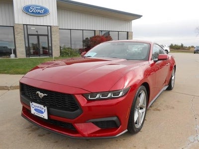 2024 Ford Mustang Ecoboost Premium 2DR Fastback