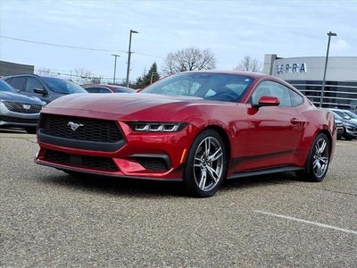 2024 Ford Mustang Ecoboost 2DR Fastback