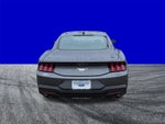2025 Mustang Thumbnail 22