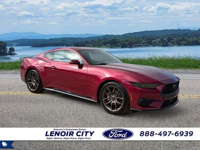 Photo of a 2026 Ford Mustang Ecoboost 2DR Fastback for sale