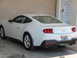 2026 Mustang Thumbnail 6