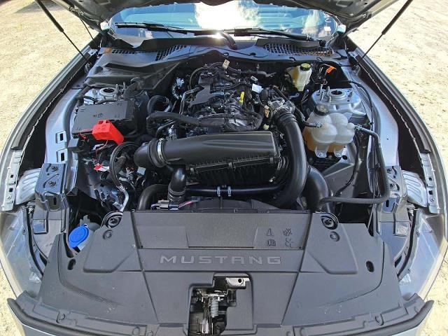 2026 Ford Mustang - $33,990