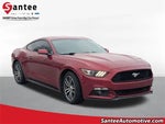 2015 Mustang Thumbnail 1