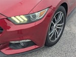 2015 Mustang Thumbnail 9