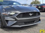 2018 Mustang Thumbnail 2