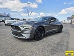 2018 Mustang Thumbnail 3