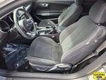 2018 Mustang Thumbnail 12