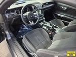 2018 Mustang Thumbnail 13