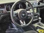 2018 Mustang Thumbnail 19
