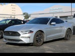 2019 Mustang Thumbnail 2