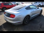 2019 Mustang Thumbnail 6
