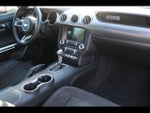 2019 Mustang Thumbnail 8