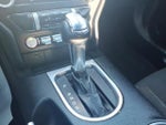 2019 Mustang Thumbnail 24