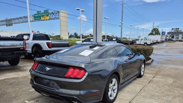 2019 Ford Mustang EcoBoost